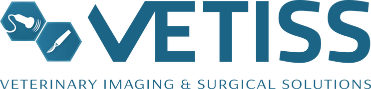 Vetiss Vetiss